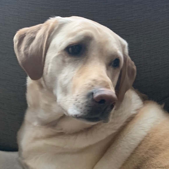 Meet your Posher, Heather - Picture 1 of 1